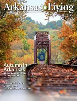 Link to current Arkansas Living magazine