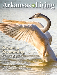 Link to current Arkansas Living magazine